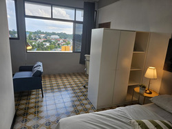 Tan Tong Meng Tower (D11), Apartment #482050131